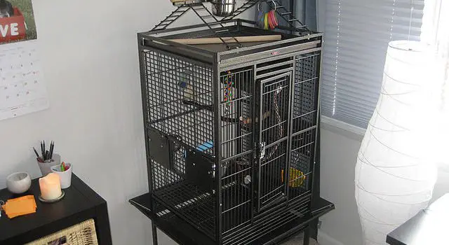 parrot cage