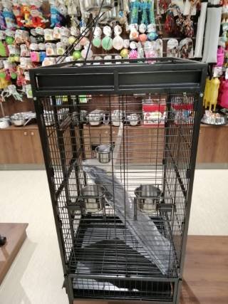 quaker parrot cage